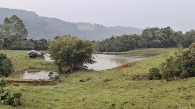 Sítio, 28 hectares - Foto 2