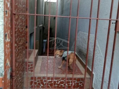 Casa, 2 quartos, 120 m² - Foto 5