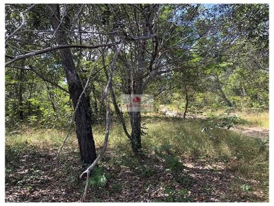 Fazenda, 3100 m² - Foto 1