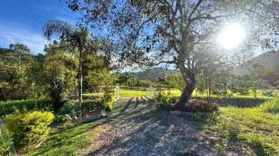 Sítio, 4 hectares - Foto 4