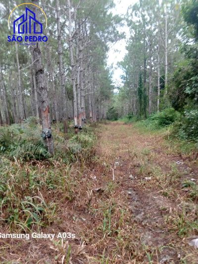 Terreno - Foto 3