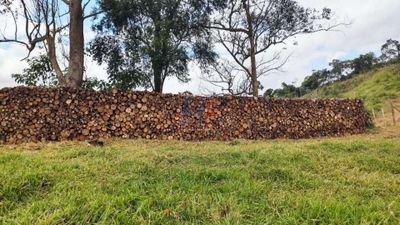 Sítio, 7 quartos, 1000 m² - Foto 4