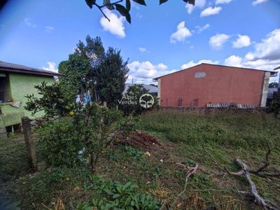 Casa, 2 quartos, 443 m² - Foto 4
