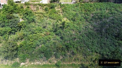 Terreno, 2 hectares - Foto 3
