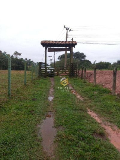 Terreno, 334 hectares - Foto 3