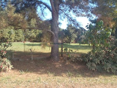 Terreno, 1 hectares - Foto 3