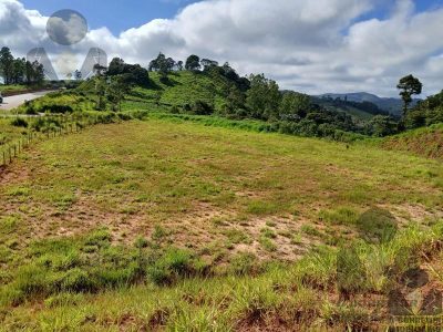 Terreno, 12 hectares - Foto 1