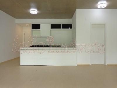 Kitnet-Studio, 65 m² - Foto 1