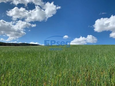 Terreno, 2 hectares - Foto 3