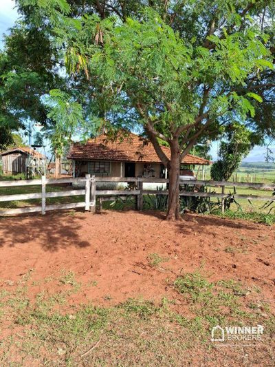 Fazenda, 80 hectares - Foto 1