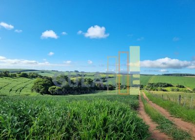 Chácara, 63 hectares - Foto 3