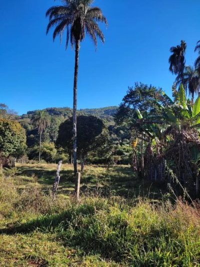 Fazenda - Foto 1