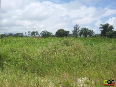 Terreno, 250 m² - Foto 3
