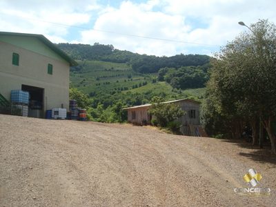 Sítio, 4 quartos, 17 hectares - Foto 4
