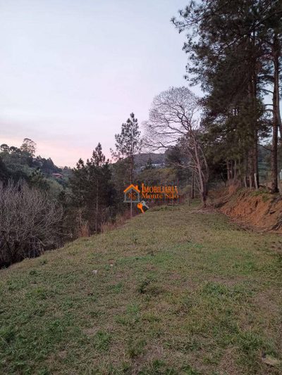 Terreno, 1000 m² - Foto 3