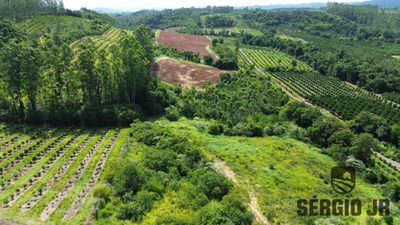 Loteamento e Condomínio, 12 hectares - Foto 2