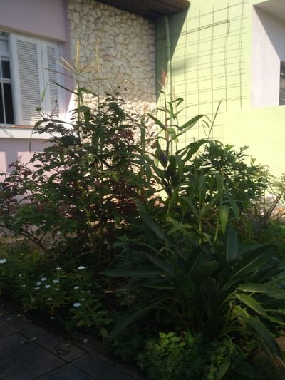 Casa, 2 quartos, 181 m² - Foto 5