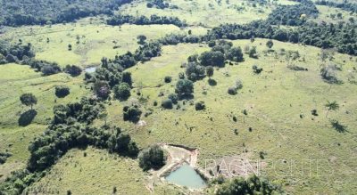 Fazenda, 8 quartos - Foto 2
