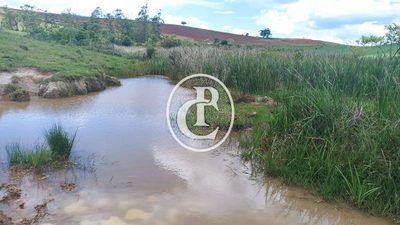 Terreno, 73 hectares - Foto 4