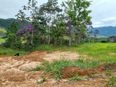 Terreno, 10000 m² - Foto 1