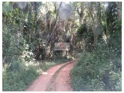 Fazenda, 1 hectares - Foto 4