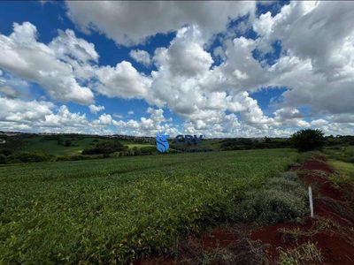 Terreno, 4 hectares - Foto 4