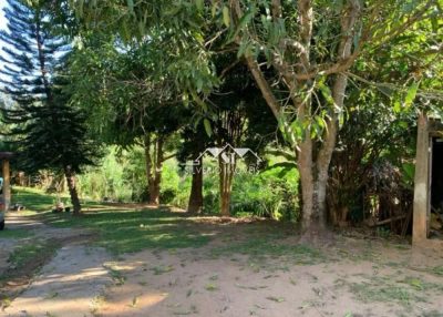Chácara, 2 quartos, 1000 m² - Foto 3