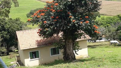 Fazenda, 107 m² - Foto 1