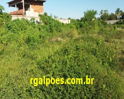 Loteamento e Condomínio - Foto 3