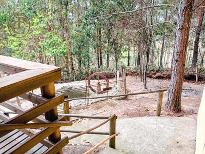 Sítio, 5 quartos, 12 hectares - Foto 1