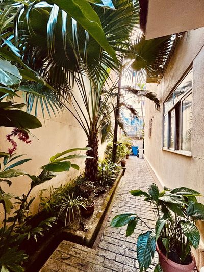 Apartamento, 3 quartos, 76 m² - Foto 1