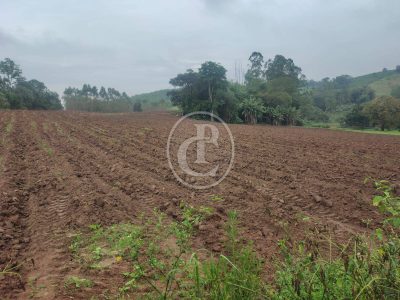 Terreno, 3 hectares - Foto 1