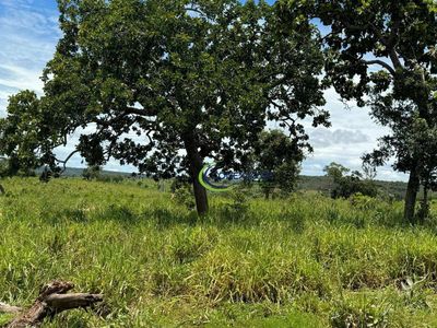 Fazenda, 1936 hectares - Foto 2