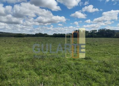 Fazenda, 292 hectares - Foto 1