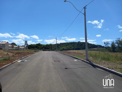 Terreno - Foto 3