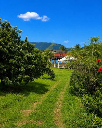 Fazenda, 12 hectares - Foto 2