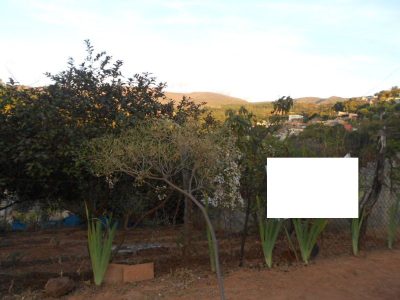 Terreno, 400 m² - Foto 3