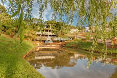 Terreno, 300 m² - Foto 5