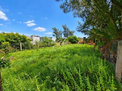 Terreno, 300 m² - Foto 4