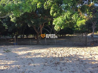 Terreno, 3 hectares - Foto 2