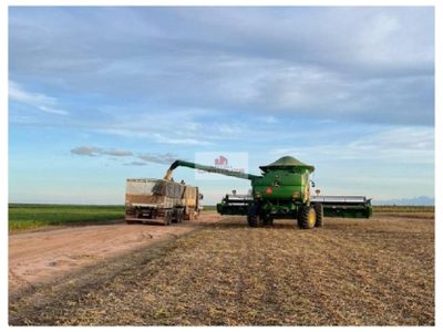 Fazenda, 7460 m² - Foto 4