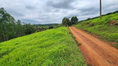 Chácara, 1 quarto, 73 hectares - Foto 3