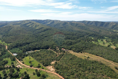 Fazenda, 8 quartos - Foto 4