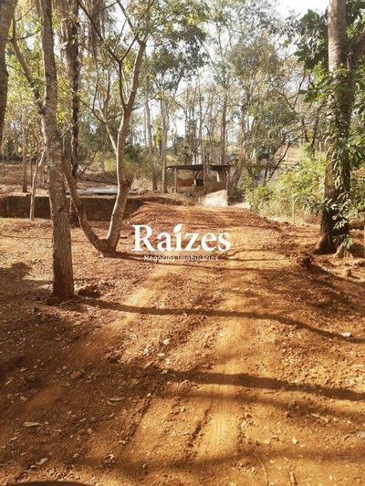 Terreno, 1050 m² - Foto 5