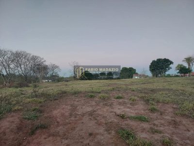 Terreno, 5000 m² - Foto 4