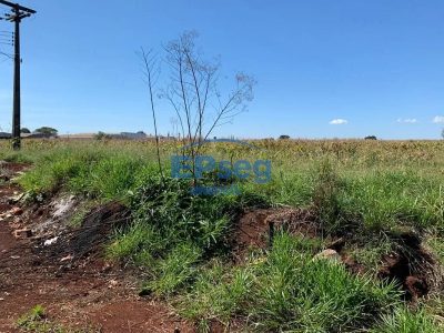 Terreno, 2 hectares - Foto 4