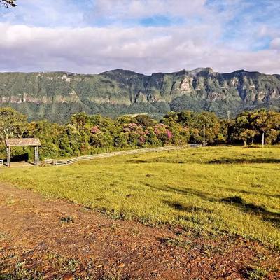 Terreno, 3 hectares - Foto 1