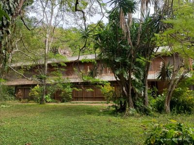 Terreno, 7 hectares - Foto 3