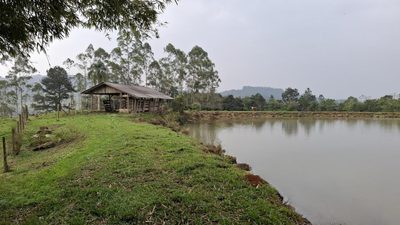 Sítio, 28 hectares - Foto 1