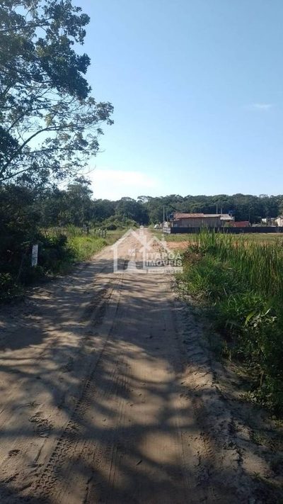 Terreno - Foto 3